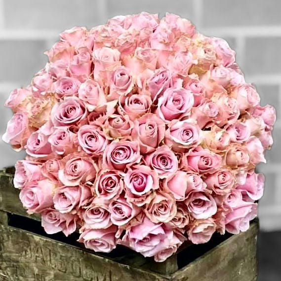 Sloane Square