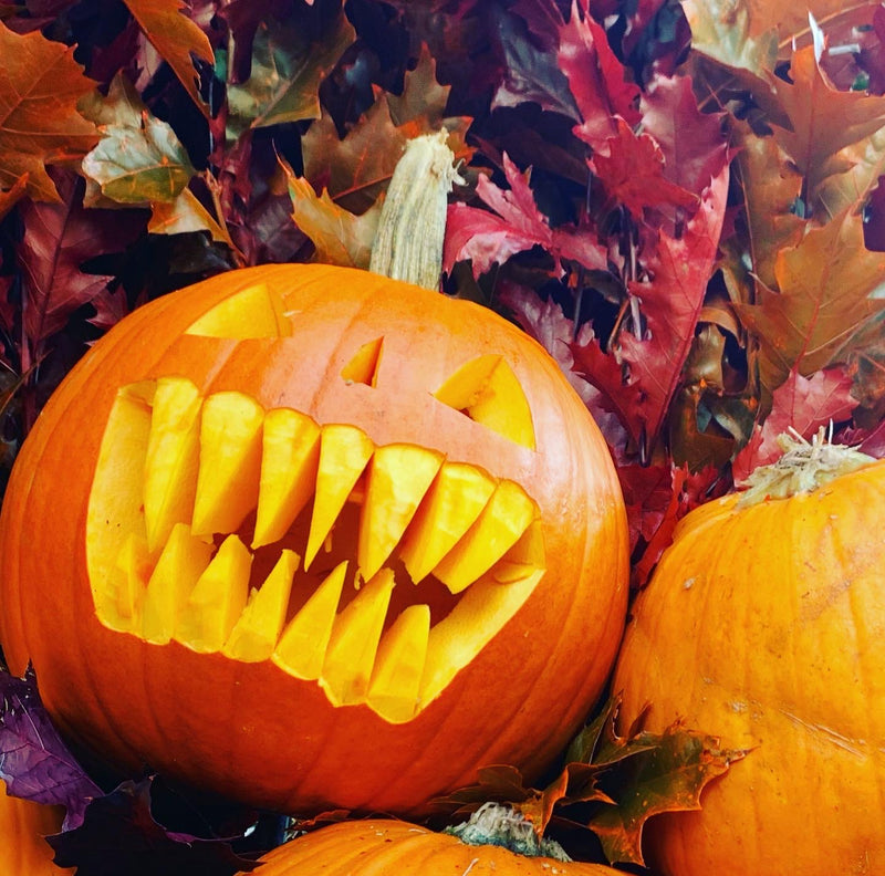 Halloween design H6