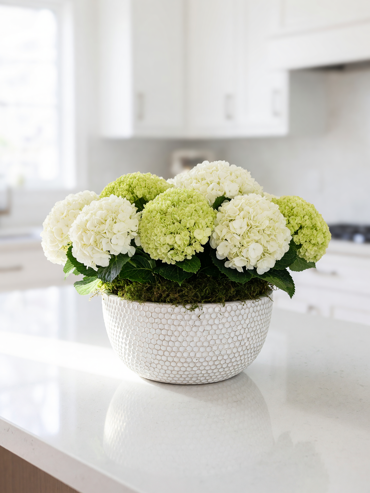 A decorative arrangement of white and light green hydrangea blooms with green leaves, set in a textured white bowl with moss, placed on a white kitchen countertop.