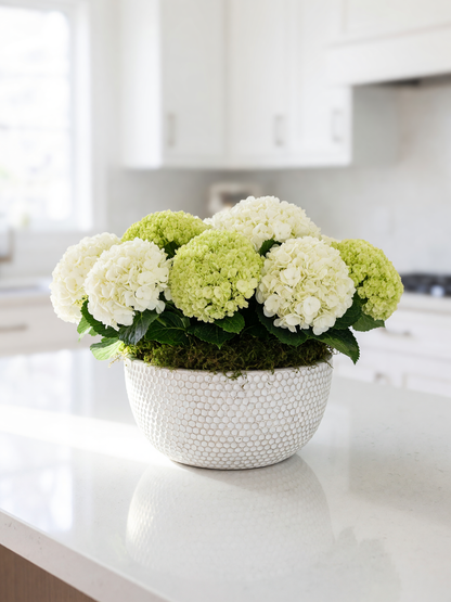 A decorative arrangement of white and light green hydrangea blooms with green leaves, set in a textured white bowl with moss, placed on a white kitchen countertop.