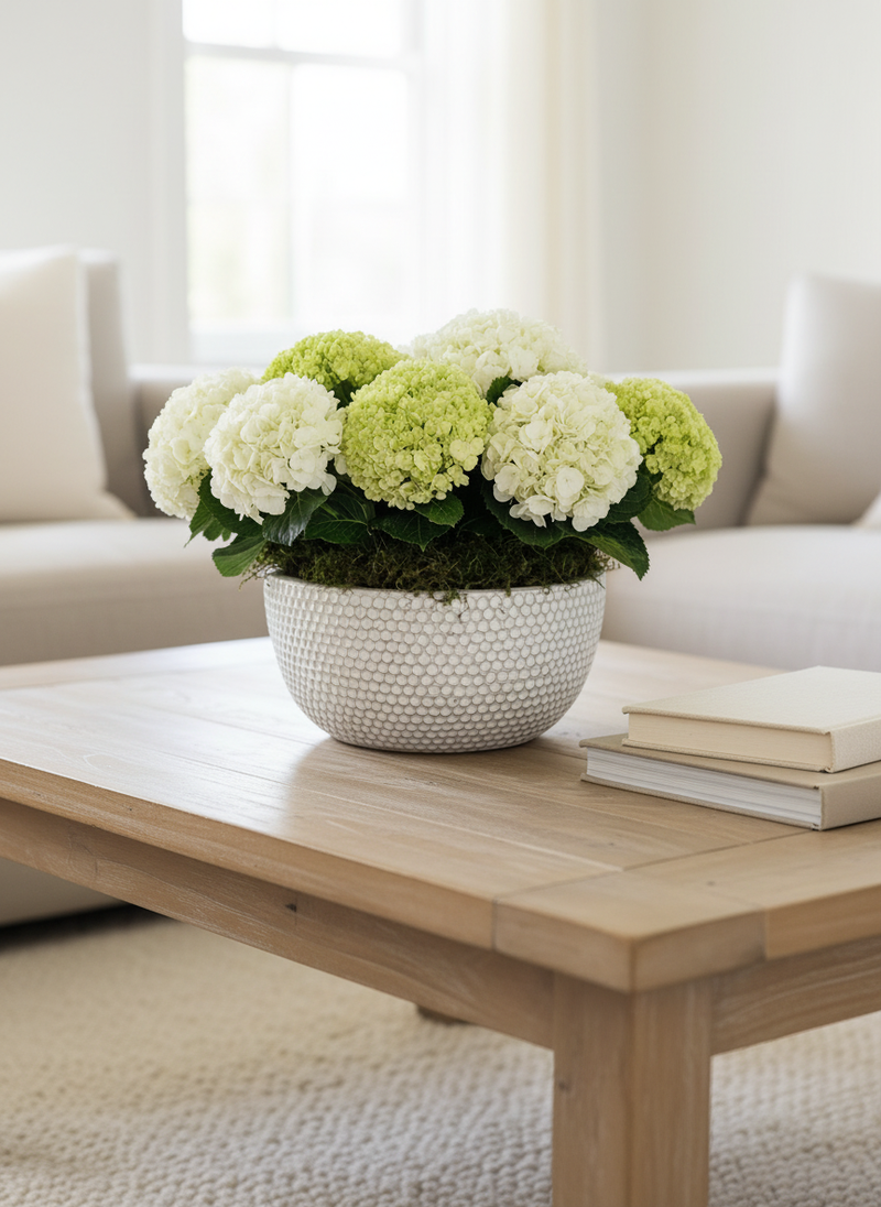 A decorative planter arrangement of white and light green hydrangea blooms in a textured white pot, placed on a light wood coffee table in a bright living room with a sofa and books in the background.