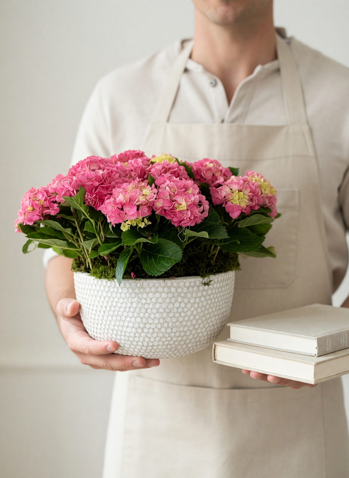 Luxury pink hydrangea planter in white ceramic bowl being hand delivered by a London florist