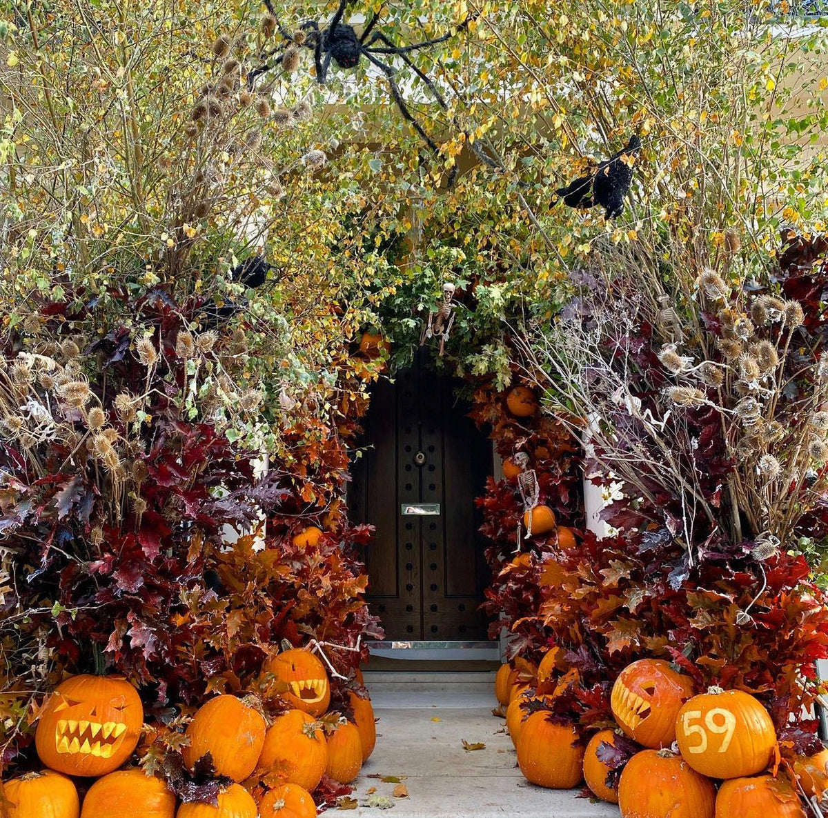 A festive autumnal outdoor doorway decorated with carved jack-o'-lantern pumpkins, dense foliage in orange, red, and brown, hanging black spider decorations, and a dark wooden door in the center.