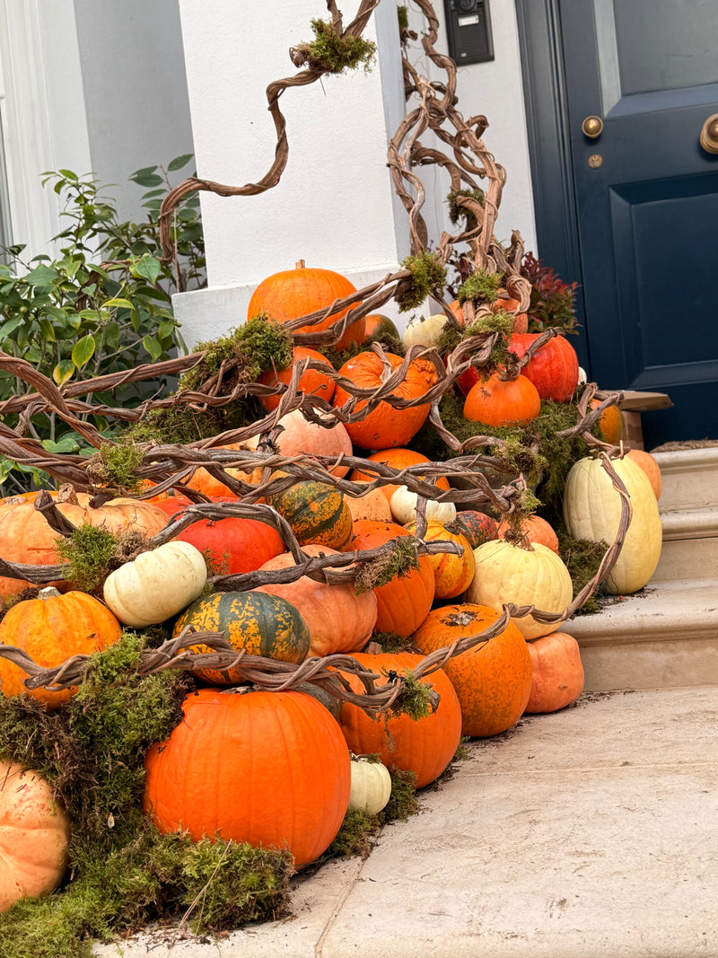 Halloween design H35